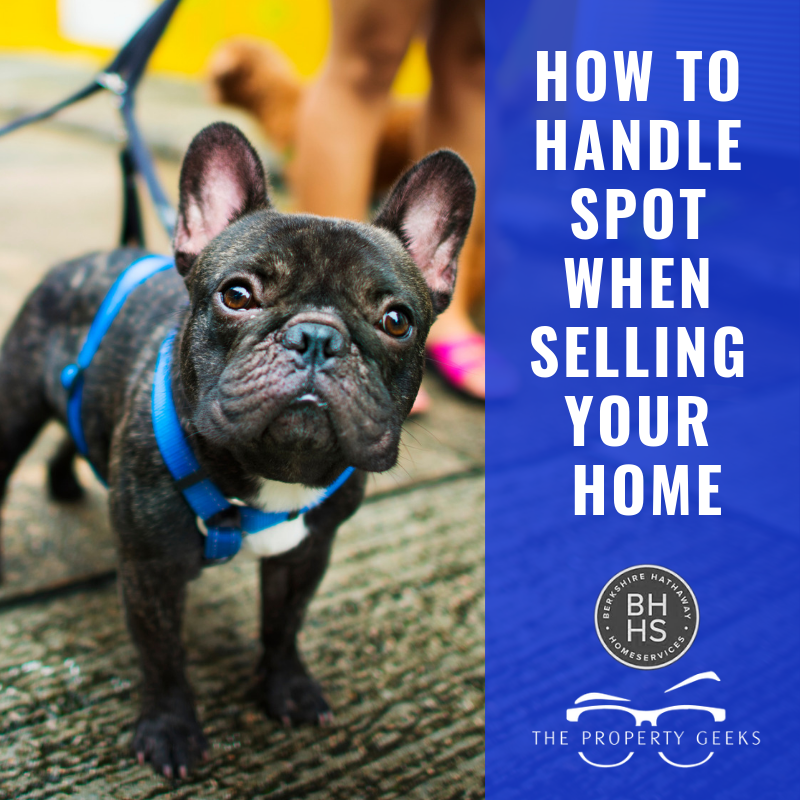 Selling your home with pets
